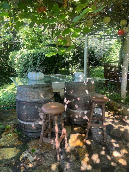 Casa A Boga Ribeira Sacra Villa Abeleda Екстериор снимка